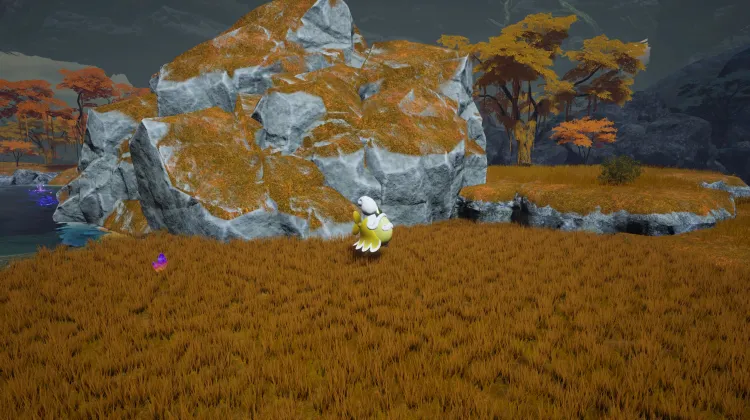 Solmora Lux