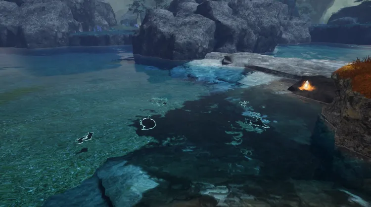 Fishing Spot
