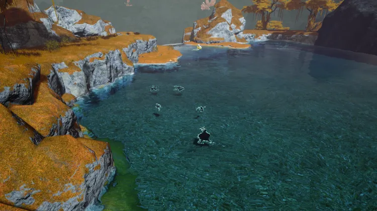 Fishing Spot