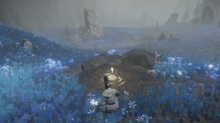 Cerulean Coast