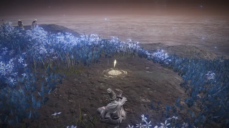 Cerulean Coast Cross