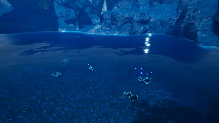 Fishing Spot