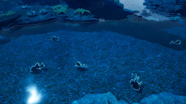 Fishing Spot