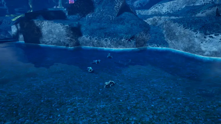 Fishing Spot