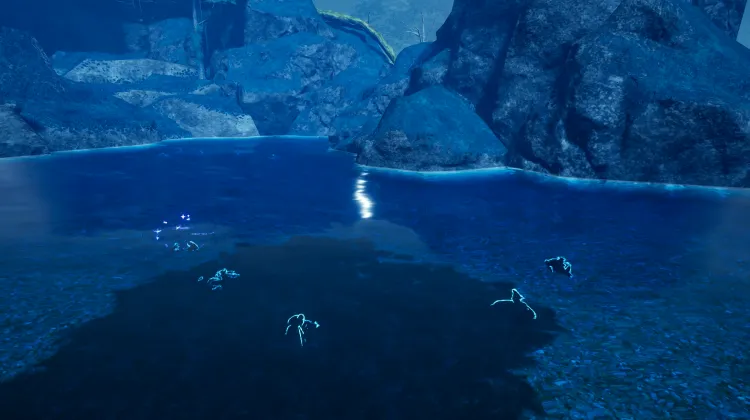 Fishing Spot