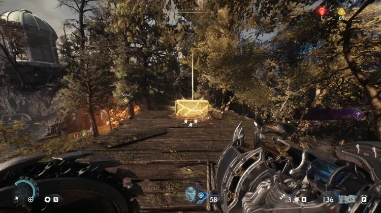 Gold x50