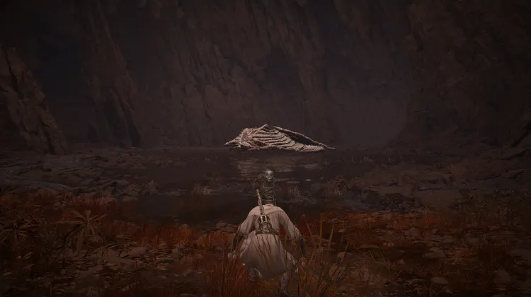 Ancient Dragon Senessax