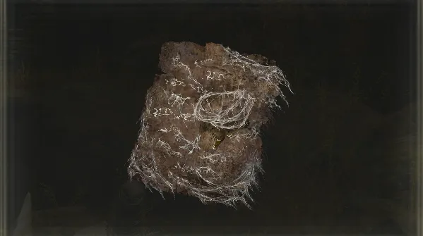 Forager Brood Cookbook [1]