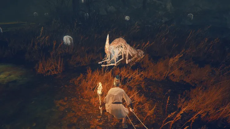 Forager Brood