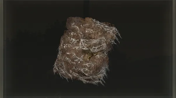 Forager Brood Cookbook [6]