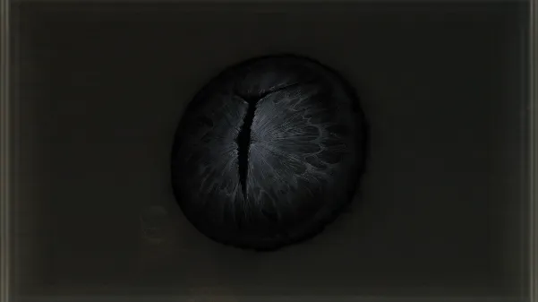 Iris of Occultation