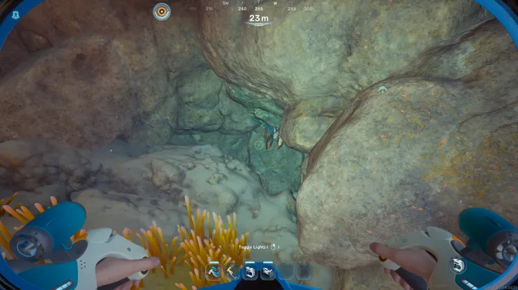 Coral Gardens Shallows Nook6