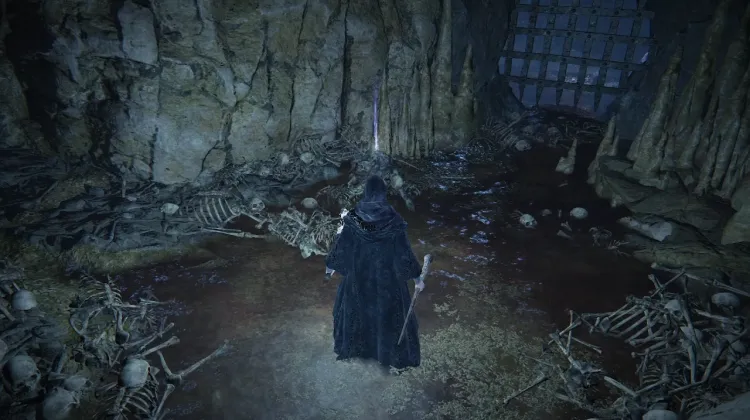 Clarifying Horn Charm + 2