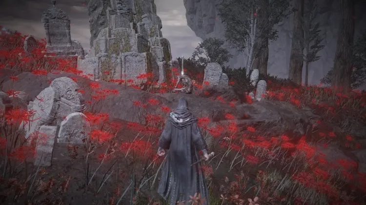 Gravebird Ashes