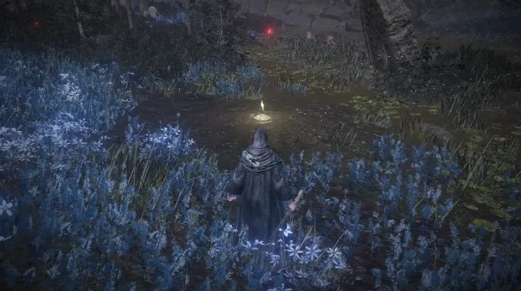 Cerulean Coast West
