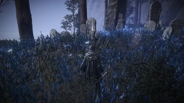 Grave Glovewort [2]