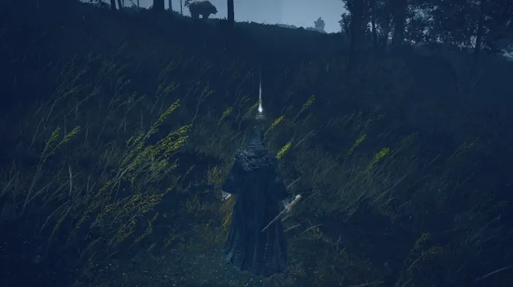 Highland Attire Set