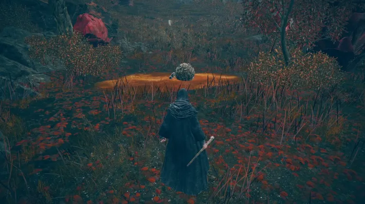 Poison Flower Blooms Twice