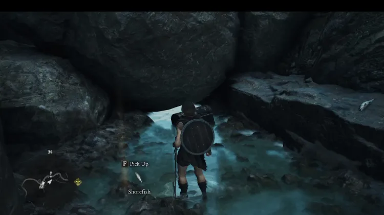 Saurianscale Cape