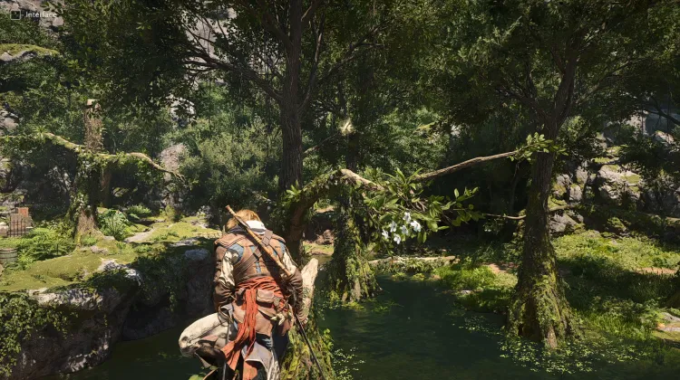 Animus Key x30