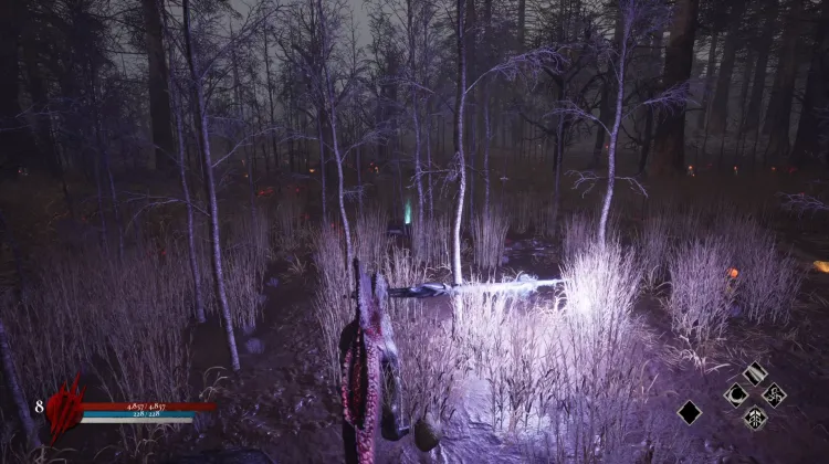 Soul Points