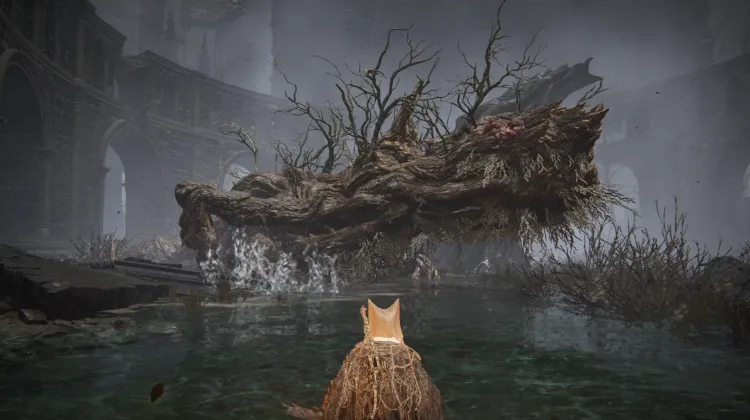 Ulcerated Tree Spirit