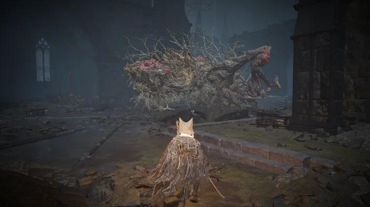 Ulcerated Tree Spirit