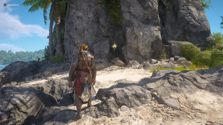 Animus Key x30