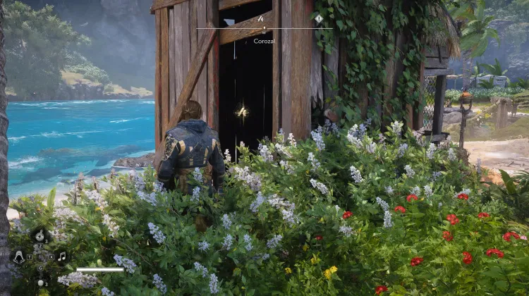 Animus Key