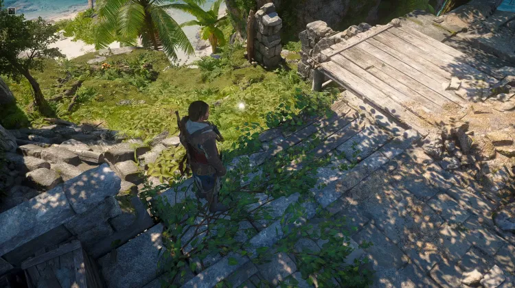 Animus Key x30