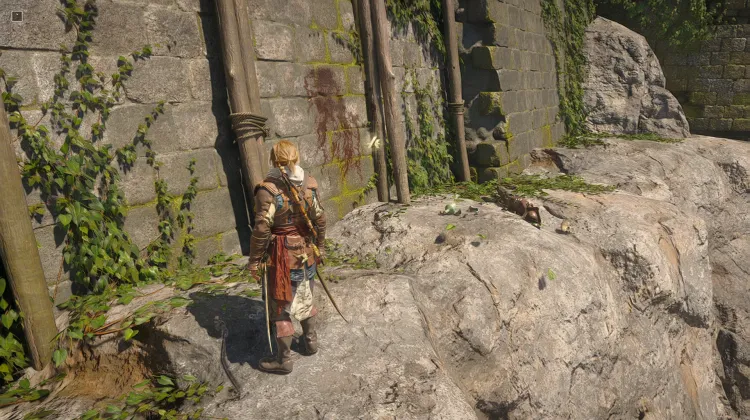 Animus Key x30