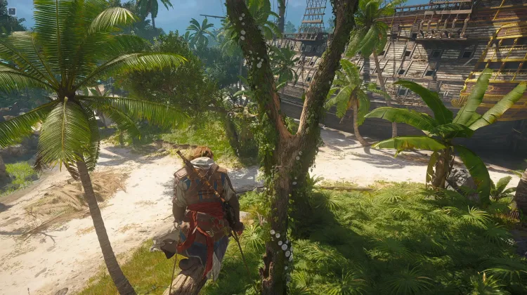 Animus Key x30