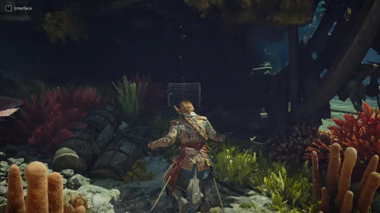 Underwater Chest