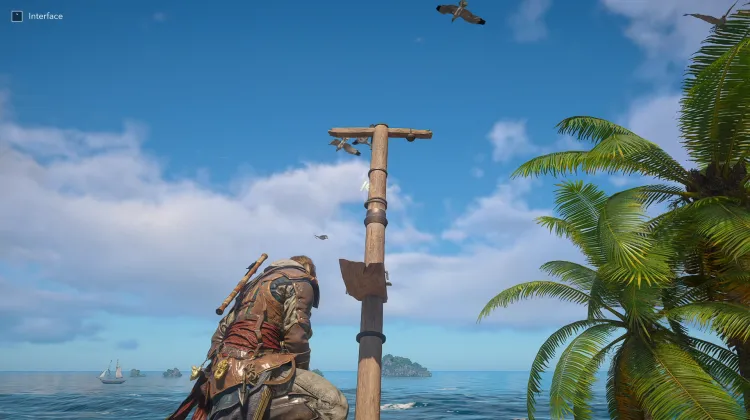 Animus Key x30