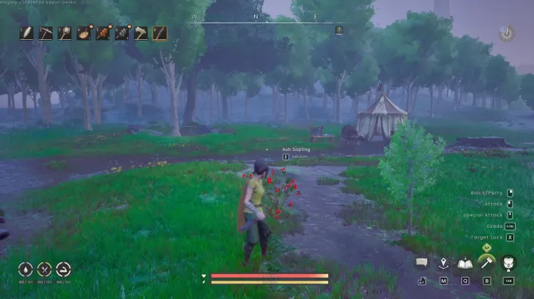 Redberry Bush x2