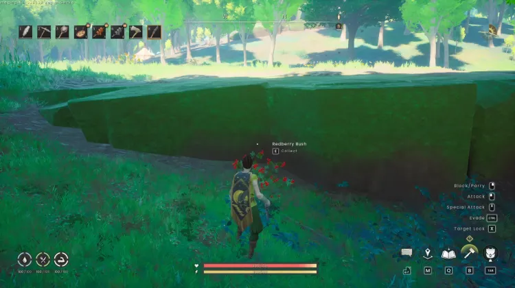 Redberry Bush x2