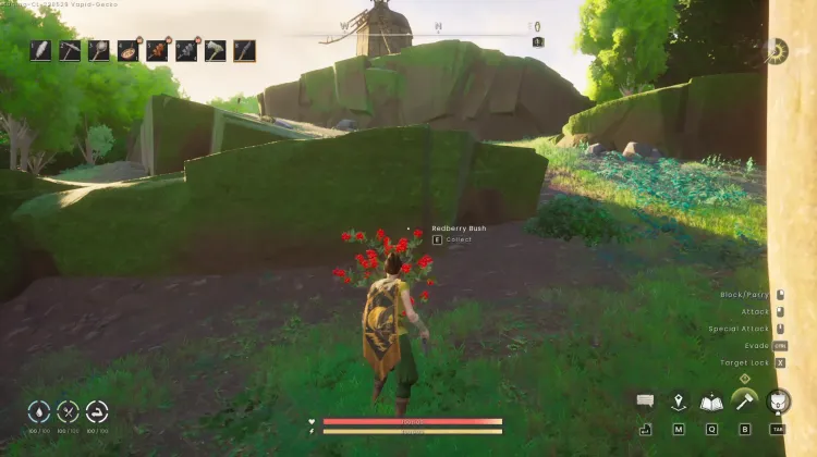 Redberry Bush x2
