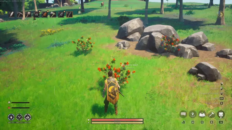 Redberry Bush x3