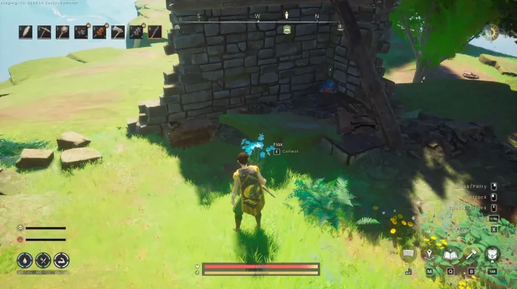 Flax