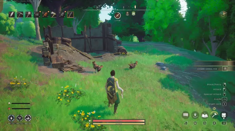 Chicken