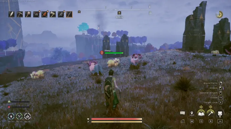 Sheep