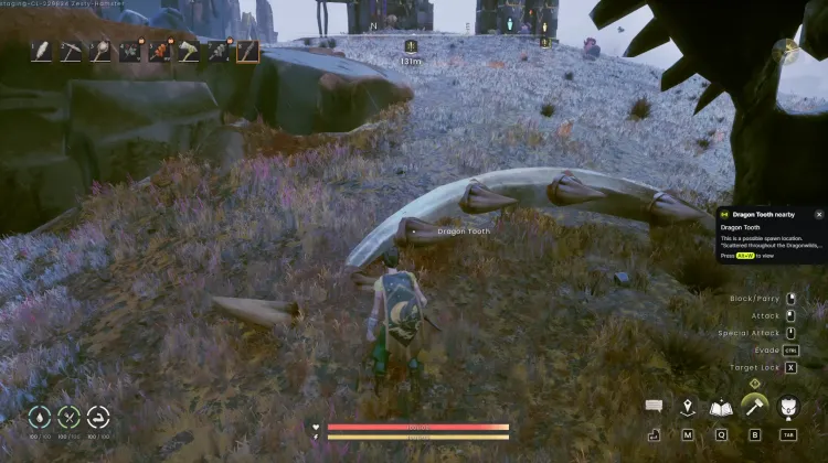 Dragon Tooth x5
