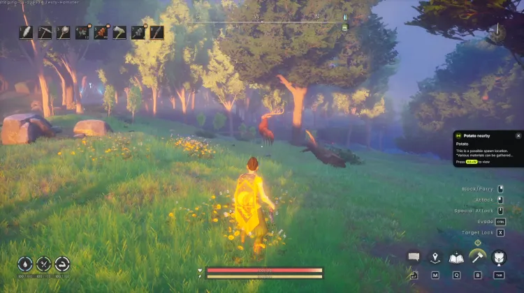 Deer