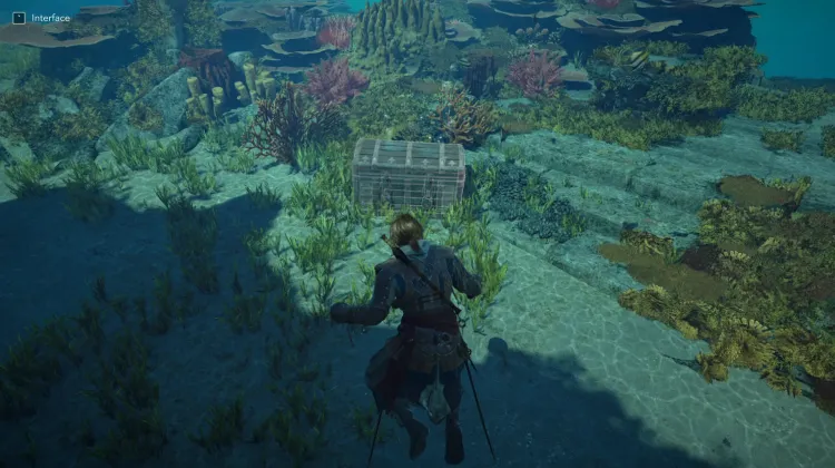 Captain Drake's Outfit