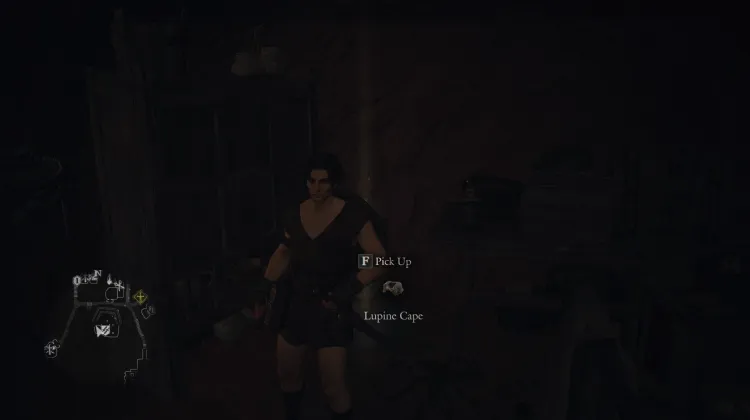 Lupine Cape