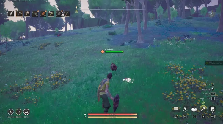 Chicken