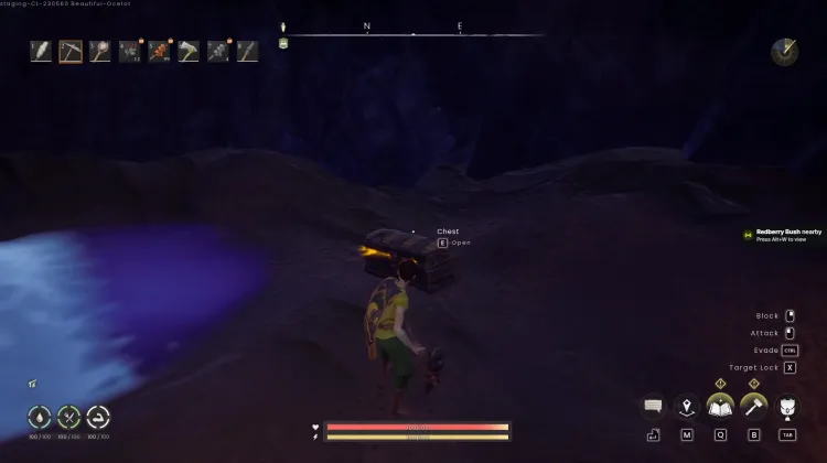 Treasure Chests