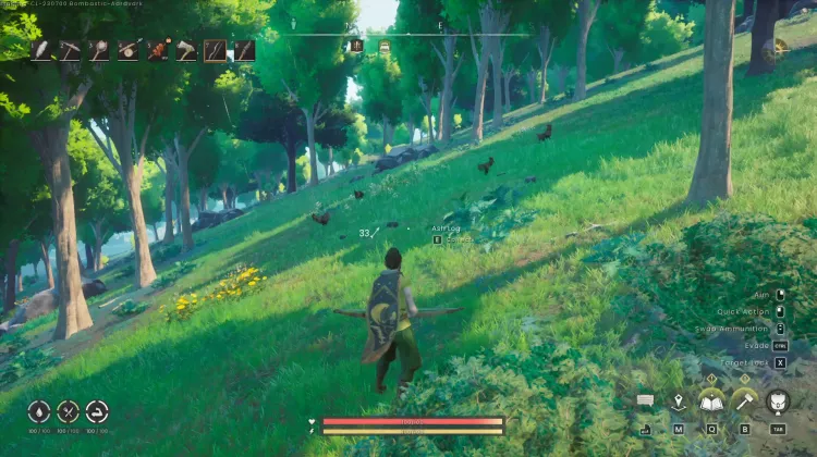 Chicken