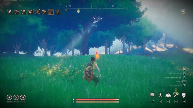 Deer