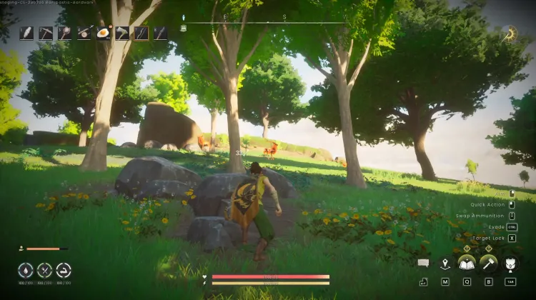 Deer